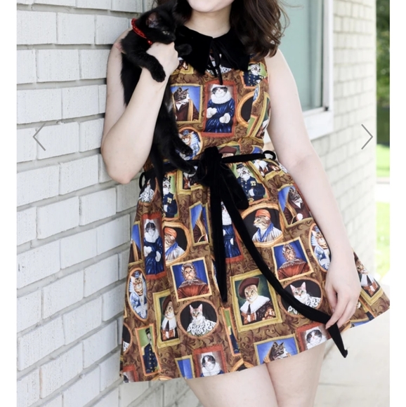 Retrolicious Dresses & Skirts - Retrolicious Gallery Le Meow Cat Dress XL